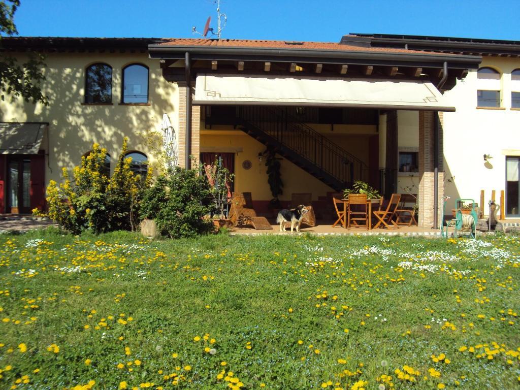 Agriturismo Ca' Del Ferro Zevio ภายนอก รูปภาพ