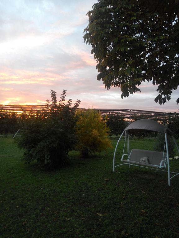 Agriturismo Ca' Del Ferro Zevio ภายนอก รูปภาพ