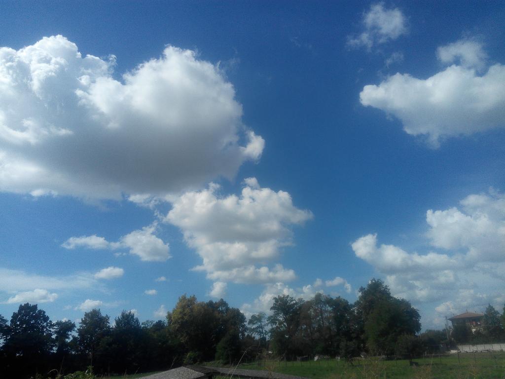 Agriturismo Ca' Del Ferro Zevio ภายนอก รูปภาพ