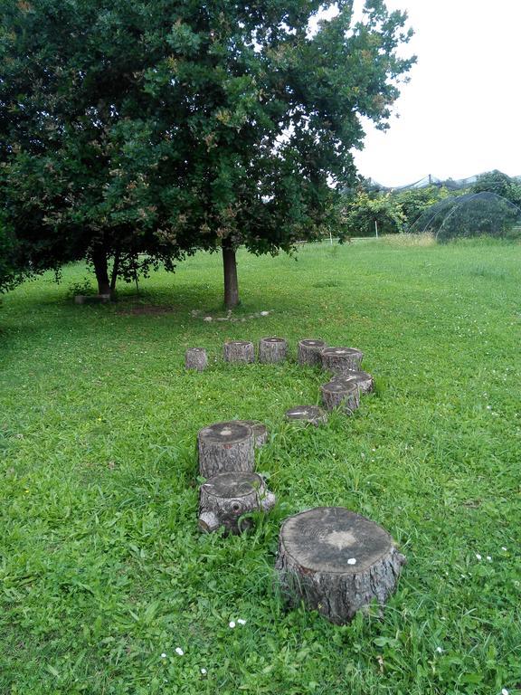 Agriturismo Ca' Del Ferro Zevio ภายนอก รูปภาพ