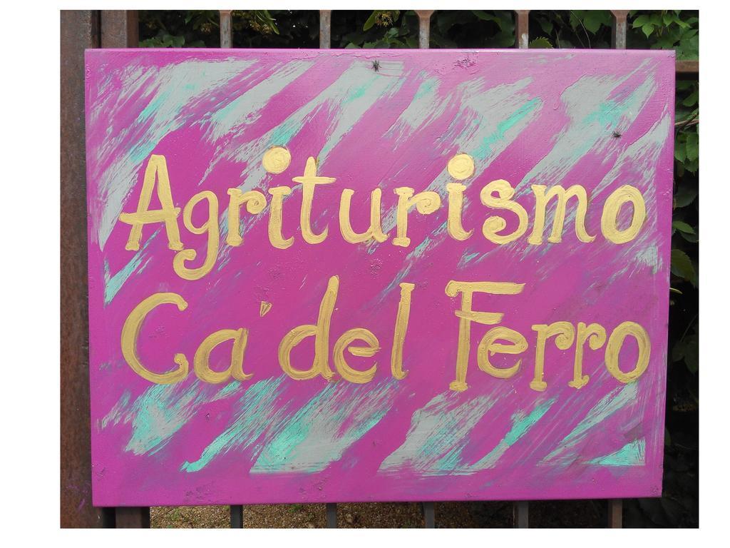 Agriturismo Ca' Del Ferro Zevio ภายนอก รูปภาพ